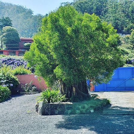 Casa El Porte Tegueste Εξωτερικό φωτογραφία