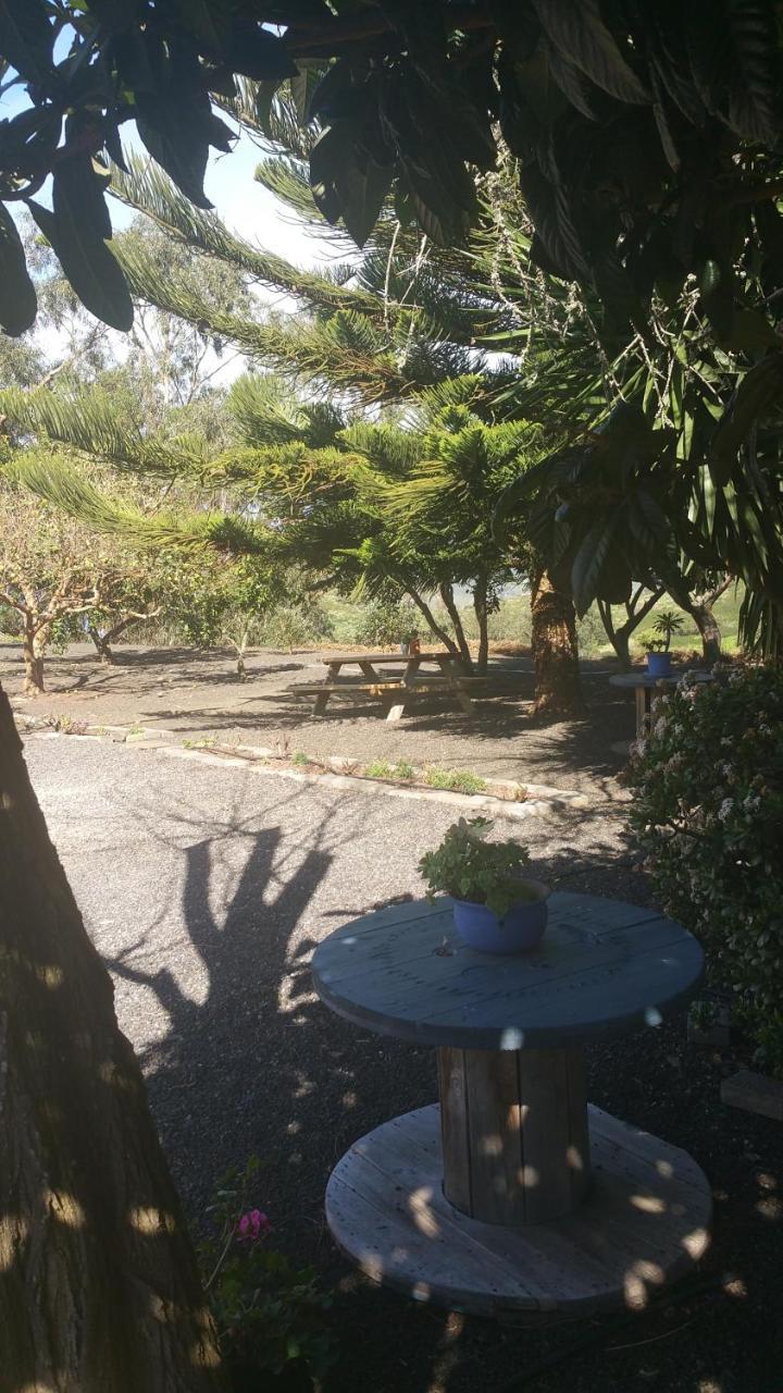 Casa El Porte Tegueste Εξωτερικό φωτογραφία
